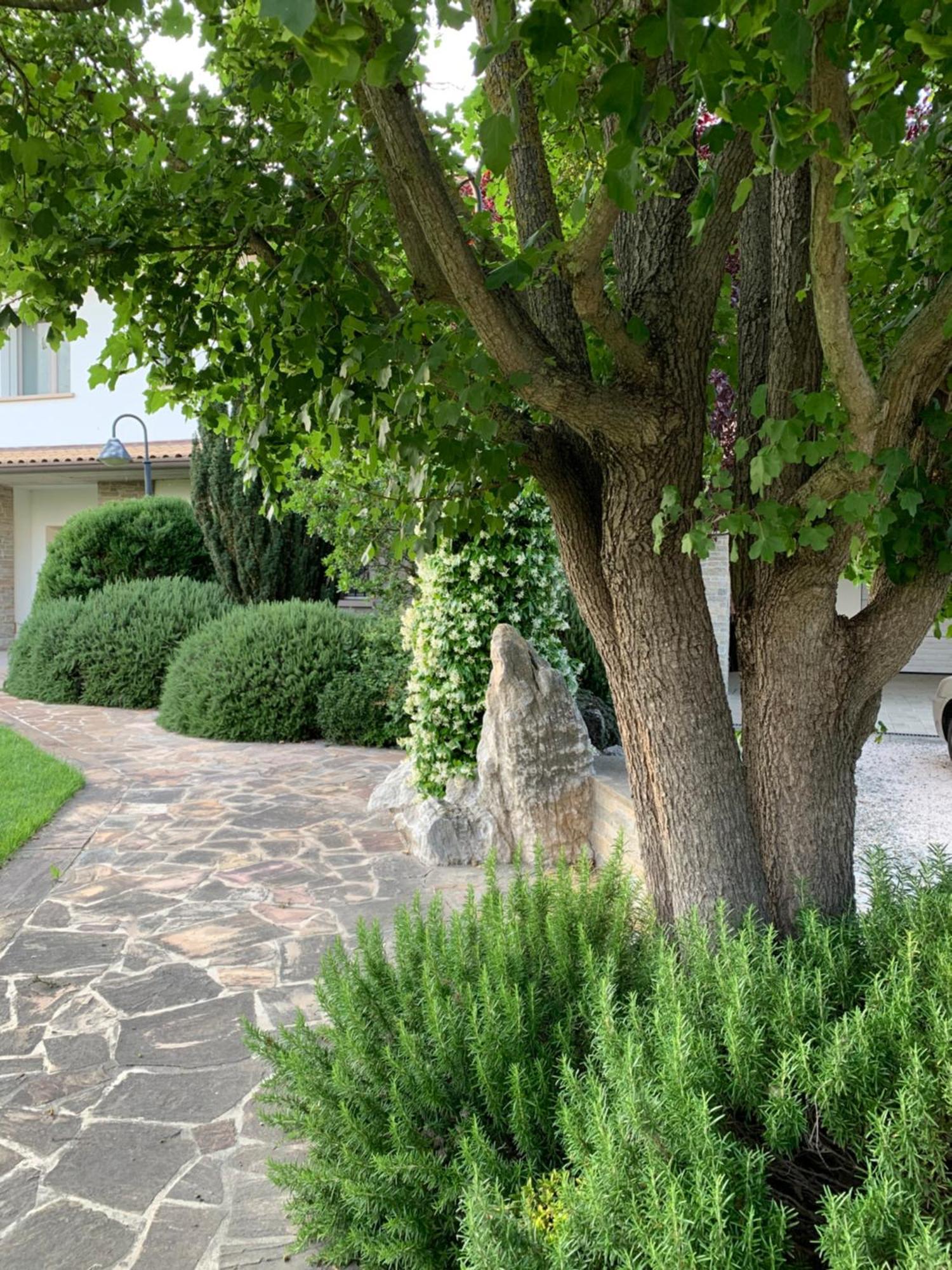 B&B Beauty House Τσεζένα Εξωτερικό φωτογραφία